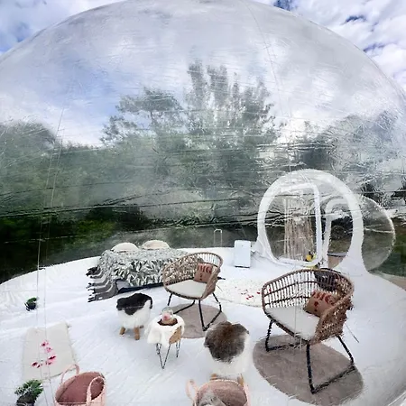Bulle Insolite Attrape Reve Lyxtält