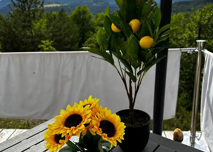 Glamping Bulle Insolite Attrape Reve